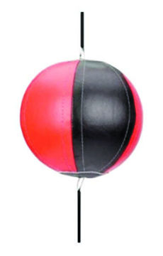 Imagen de Cielo Tierra