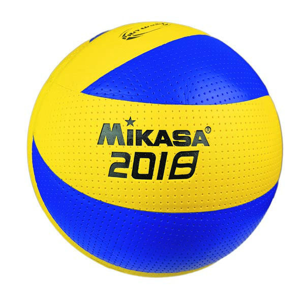 Imagen de Pelota Volley