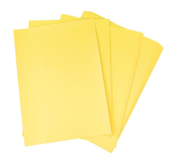 Imagen de H.garbanzo Amarx25