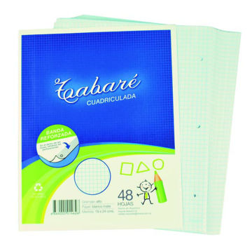 Imagen de Hojas Tabare Cuad.x48