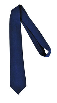 Imagen de Corbata Liceal