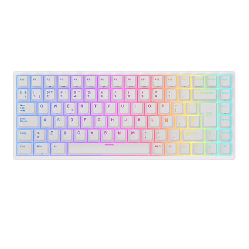 Imagen de TECLADO RK ROYAL RK84 WHITE BROWN SWITCH