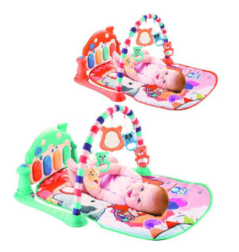 Imagen de Gimnasio Multifuncional