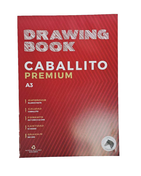 Imagen de Papel Caballito A3 10 Hojas