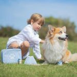 Imagen de Juego De Rol Valija De Veterinario Bigjigs Niños 3 Años+ Violeta