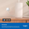 Imagen de ENCHUFE INTELIGENTE TP-LINK TAPO P100 MINI WIFI 2 PACK