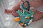 Imagen de Cangrejito Dolce Toys Con Mordillos Apego Bebes Textura