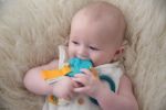 Imagen de Cangrejito Dolce Toys Con Mordillos Apego Bebes Textura