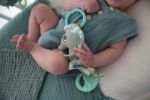 Imagen de Caballito De Mar Dolce Toys Juguete Colgante Bebes Mordillo