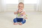 Imagen de Juguete Colgante Flamenco Dolce Toy Bebes Didactico Mordillo