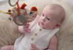 Imagen de Juguete Colgante Erizo Dolce Toys Bebes Didactico Mordillo