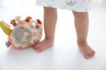Imagen de Juguete Colgante Erizo Dolce Toys Bebes Didactico Mordillo