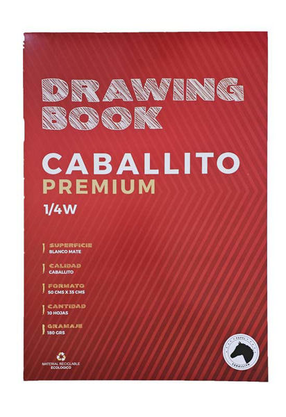 Imagen de Block 1/4 w Caballito 10 h