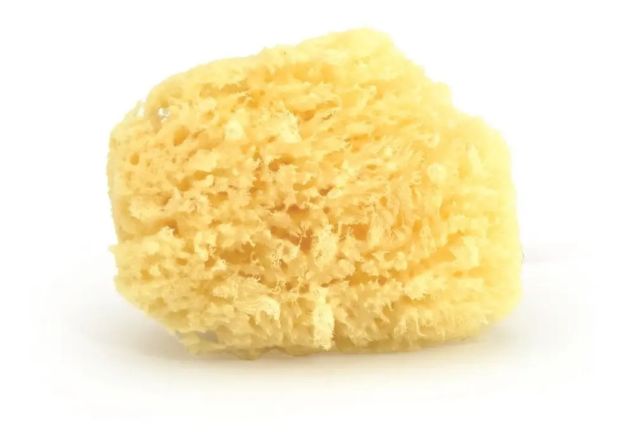 Imagen de Esponja Marina 100% Natural Para Baño Cuidado Piel  Del Bebé Amarillo