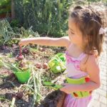 Imagen de Cinturón De Jardinería Guantes Palita Rastrillo Bigjig Niños