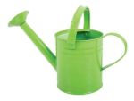 Imagen de Regadera De Jardin Verde Metalica Bigjigs Niños 3años+