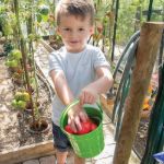 Imagen de Cubo Aluminio Verde Bigjigs Toys - Jardineria Niños 3 Años+