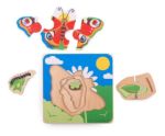 Imagen de Bigjigs Toys Ciclo De Vida Madera Bebes 18m+ Tamaño 15 Cm