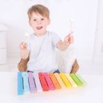 Imagen de Xilifono Multicolor Madera Instrumento Musical Bebes 18m+