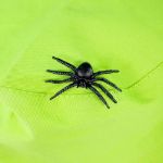Imagen de Set De Explorador De Naturaleza Red Insectos Binoculares 3a+