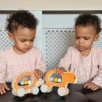 Imagen de Bigjigs Toys Erizo De Madera Juguete De Arrastre Bebes 10m+