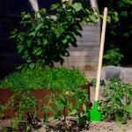 Imagen de Pala De Mango Largo Resistente Jardinería Niños 3 Años+  Verde Lima