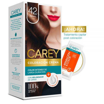 Imagen de Tinta Carey 42  S/c