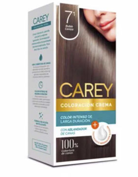 Imagen de Tinta Carey 71  S/c