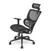Imagen de SILLA ERGONÓMICA SHARKOON OFFICEPAL C30 NEGRA 3D 120KG