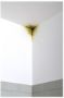 Imagen de Zinsser imprimante directo sobre hongos  3.75lt- Ynter Industrial