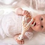 Imagen de Sophie La Girafe Mordillo Juguete Textura Suave 100% Natural