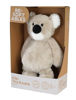 Imagen de Peluche Teddy Bear