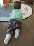 Imagen de Calza Deportivo Carter´s Flores Con Lazito 3 Meses Gris Oscuro 3 Meses