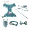 Imagen de Arnes con Accesorios m Dn-019