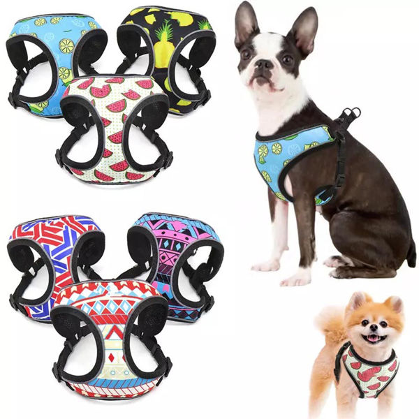 Imagen de Arnes Fresh l Md-0029