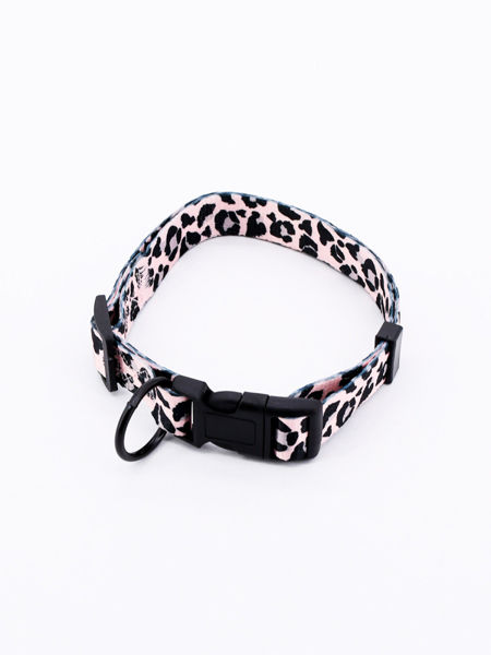 Imagen de Collar Animal Print Rp Ce-299-2.0