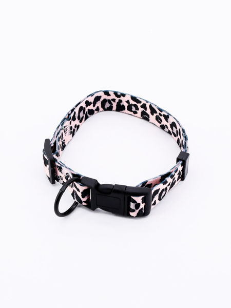 Imagen de Collar Animal Print Rp Ce-299-2.5