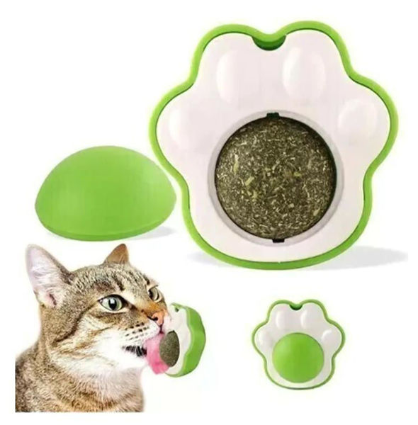 Imagen de Yerba Gatera Huella