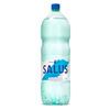 Imagen de Agua Salus 2,25 C/gas