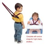 Imagen de Arnés Infantil Dreambaby, Ajustable, 6m-4a, Caminantes Niños Azul Liso
