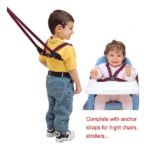 Imagen de Arnés De Seguridad Dreambaby Para Niños Azul Paseos Azul Liso