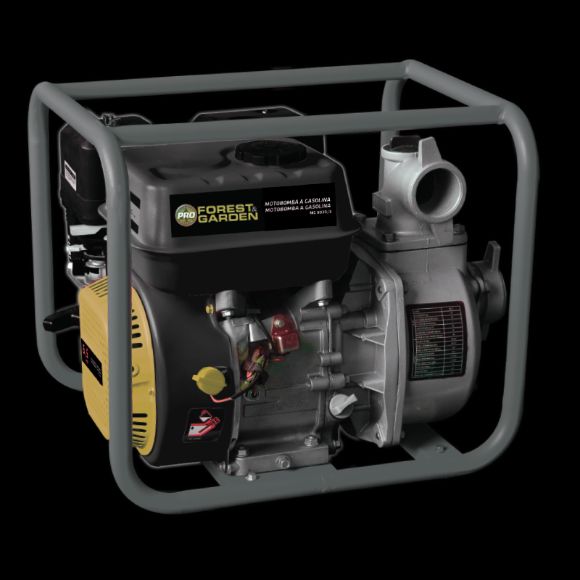 Imagen de Motobomba 6.5Hp 2" Forest & Garden - Ynter Industrial