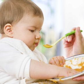Imagen para la categoría Alimentación