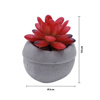 Imagen de Plantita cactus decorativa