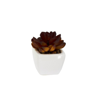 Imagen de Plantas decorativas cactus en florero  ceramica