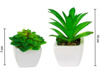 Imagen de Plantas decorativas cactus en florero  ceramica