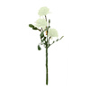 Imagen de Flor ramo tipo clavel
