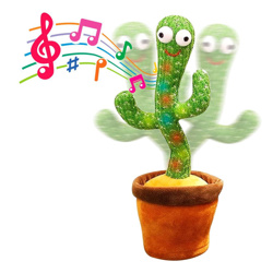 Imagen de Cactus bailarín