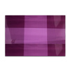 Imagen de Mantel Individual rectangular en PVC