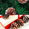 Imagen de Piñas adorno de navidad 6 unidades
